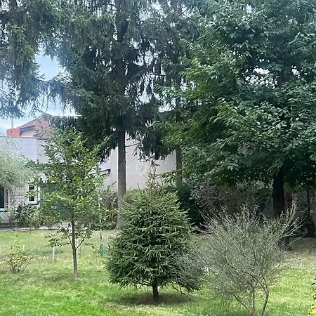 Mieszkanie 1 Pokojowe Z Dostepem Do Dzialki, Ogrodu Warsaw