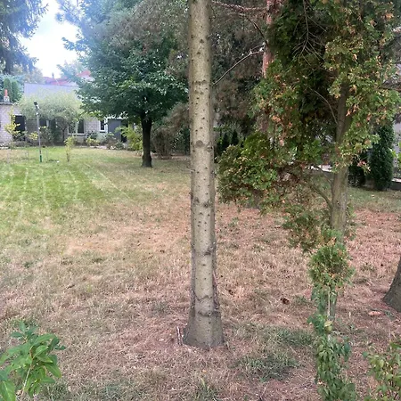 Mieszkanie 1 Pokojowe Z Dostepem Do Dzialki, Ogrodu * Varsavia